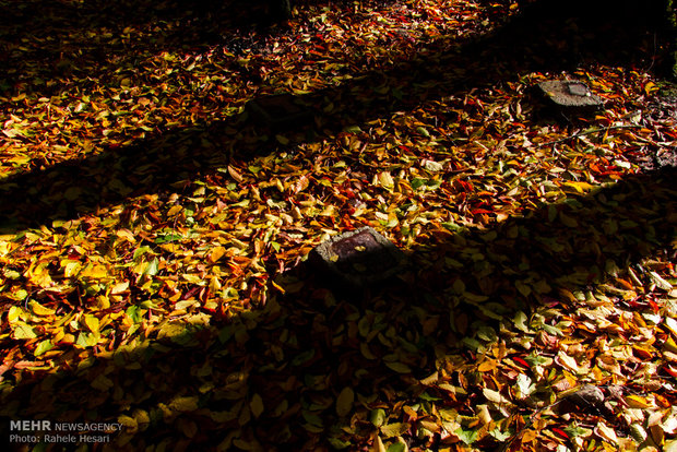 Golestan dabbed in Autumn colors