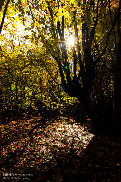 Golestan dabbed in Autumn colors