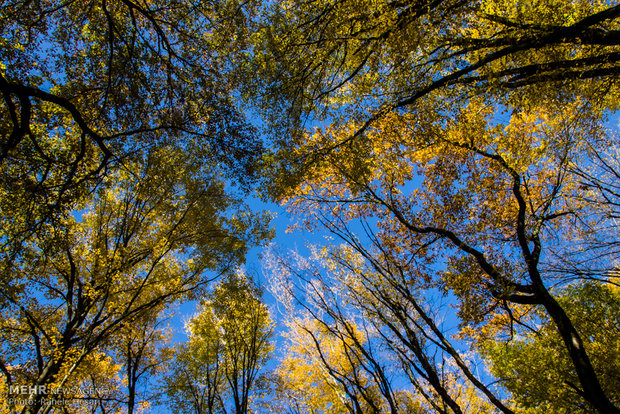 Golestan dabbed in Autumn colors