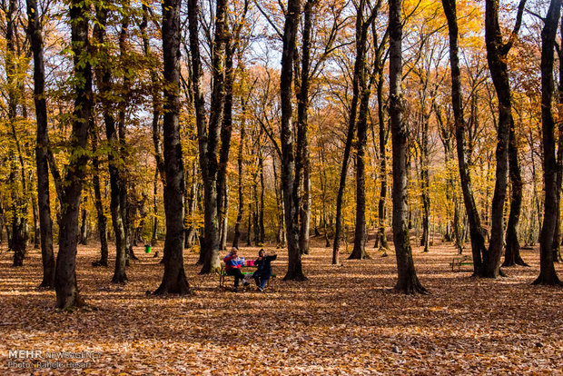 Golestan dabbed in Autumn colors