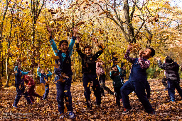 Golestan dabbed in Autumn colors