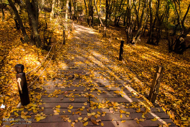 Golestan dabbed in Autumn colors