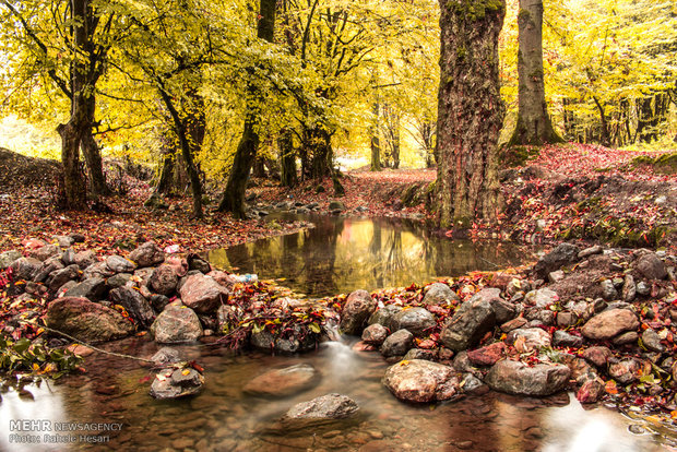 Golestan dabbed in Autumn colors