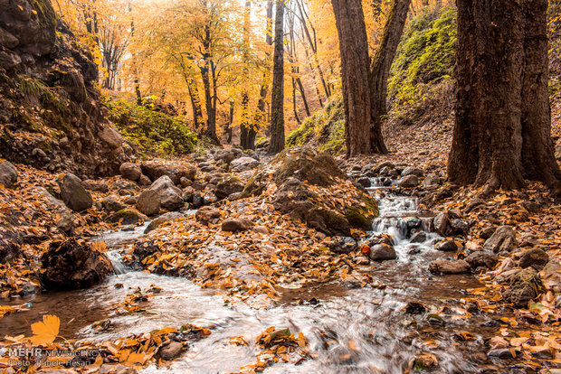 Golestan dabbed in Autumn colors