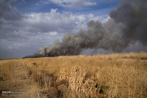 Fire outbreak at Mighan Wetland