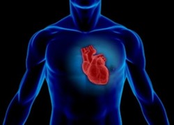 سندرم متابولیک و بیماری کلیوی منجر به مشکلات قلبی می شود