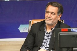 تمام تلاش مسئولان در راستای حل مشکل بیماری در چنار محمودی است