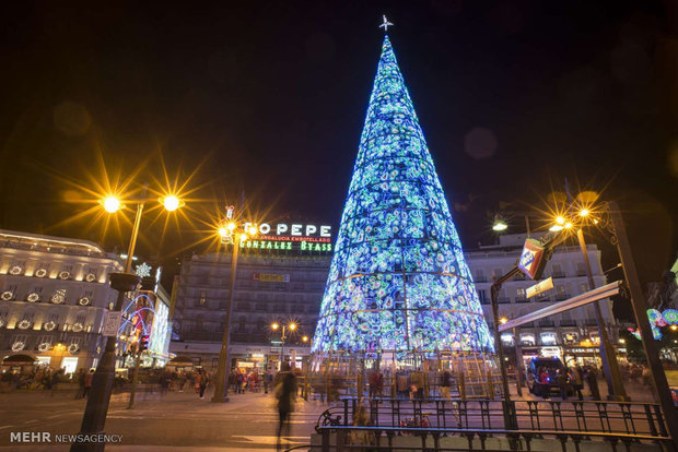 Dünyanın dört bir tarafındaki Noel ağaçlarından kareler