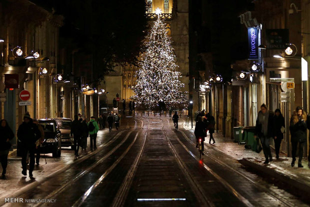 Dünyanın dört bir tarafındaki Noel ağaçlarından kareler