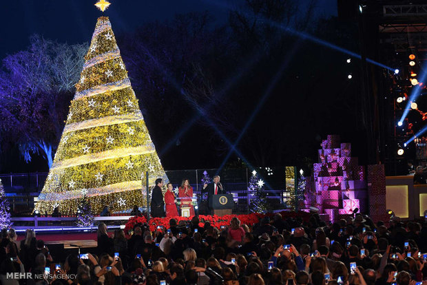 Dünyanın dört bir tarafındaki Noel ağaçlarından kareler