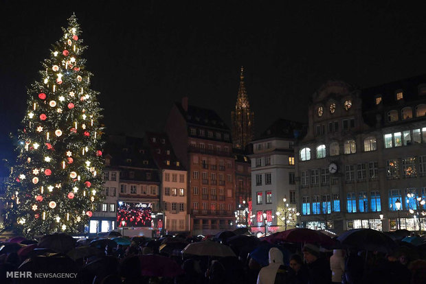 Dünyanın dört bir tarafındaki Noel ağaçlarından kareler