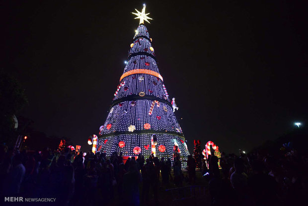 Dünyanın dört bir tarafındaki Noel ağaçlarından kareler