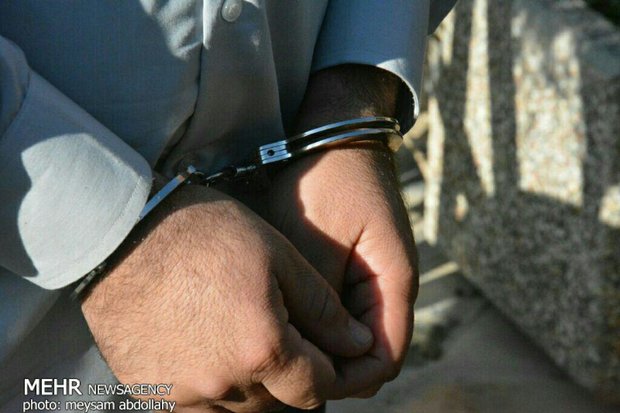 زورگیران خودروهای غرب استان تهران دستگیر شدند