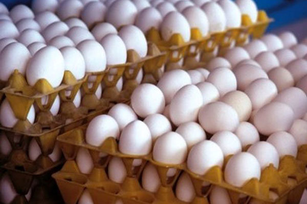 ۱۴۴ عدد تخم‌مرغ؛ مشوق غیرنقدی برای جذب نیرو در ونزوئلا