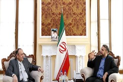 Amir-Abdollahian meets Qatari envoy to Tehran