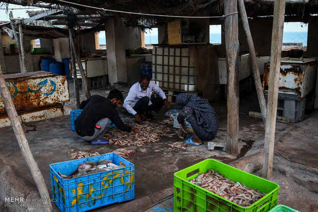 A view of daily life in Iran – 73