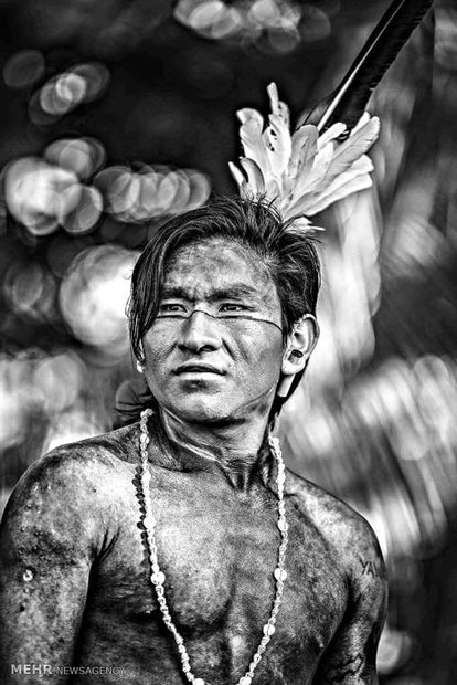 بومیان برزیل‎