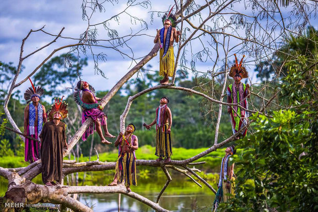 بومیان برزیل‎