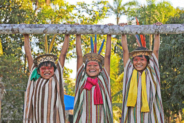 بومیان برزیل‎