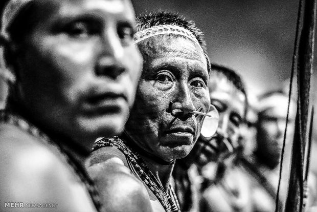 بومیان برزیل‎