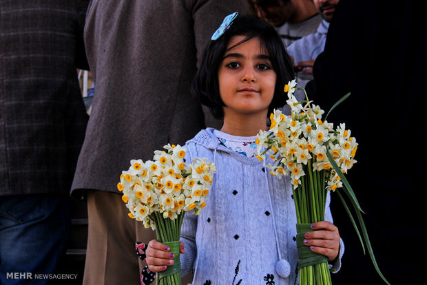 Amaryllis gardens in Behbahan, Iran