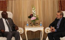 Iran, Mali vow to expand economic, political relations