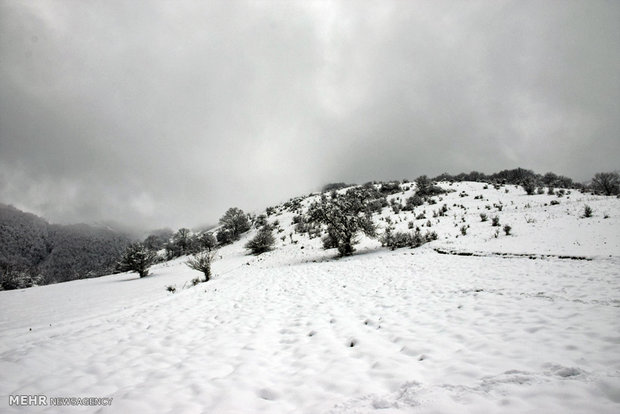 زیبایی های زمستانی گردنه کوهستانی حیران