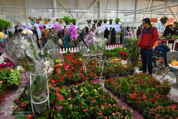 Şiraz kentinde "Flower Show" devam ediyor
