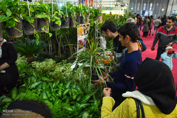 Şiraz kentinde "Flower Show" devam ediyor