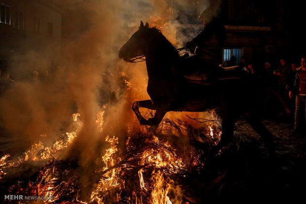 پاک سازی معنوی اسب ها با آتش‎