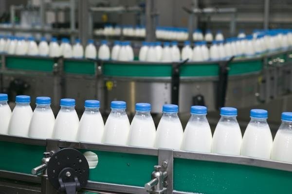 Dairies export increases by 30% in 9 months 