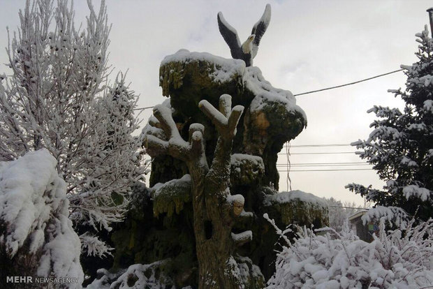 Snow blankets Delfan County in Lorestan Province