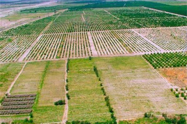 ۹۳۶ فقره پرونده برای سنددار کردن اراضی کشاورزی گلستان تشکیل شد