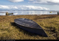 Anzali Wetland