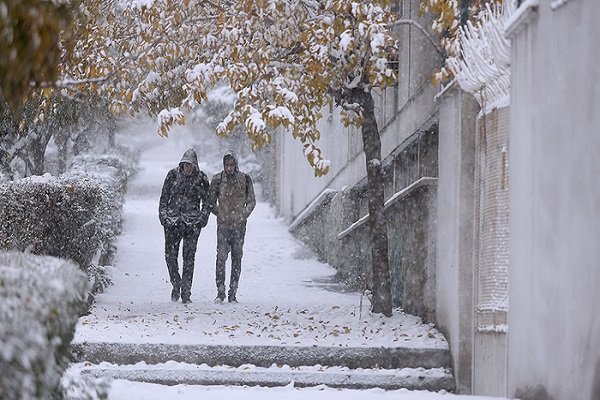بارش برف آذربایجان غربی را سفید پوش کرد