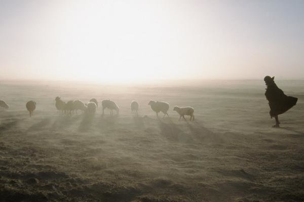 چوپان کر و لال با ۱۱۰ رأس گوسفند در بهاباد نجات یافت