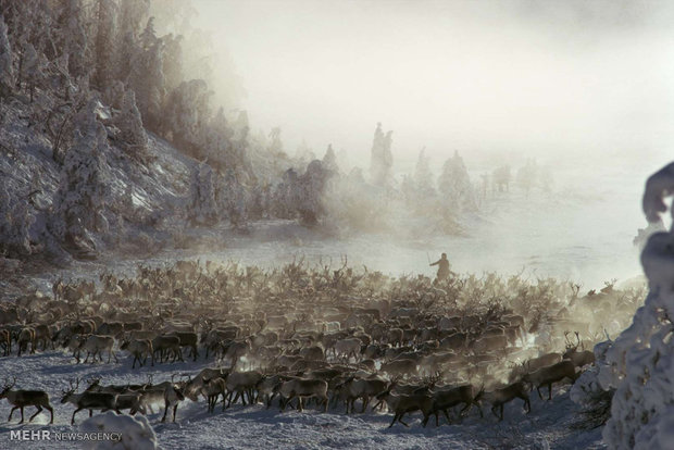 سفر به سردترین منطقه قابل سکونت جهان