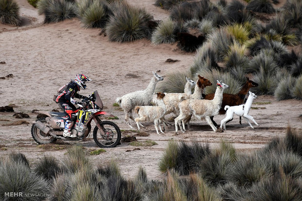 رالی داکار 2018