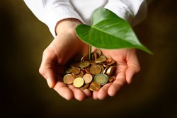 Iran’s environmental body asserts its right to green tax