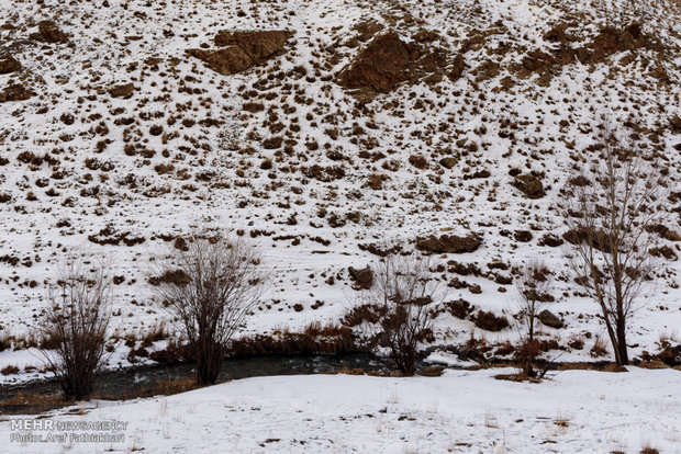 Reduced snowfall in Dizin Ski resort