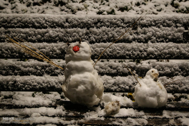 Tehran embraces first heavy winter snow