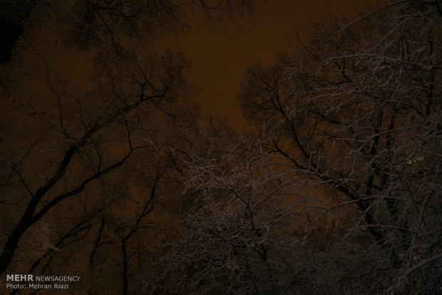 Tehran embraces first heavy winter snow