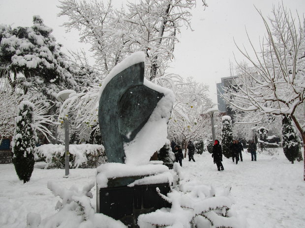 VIDEO: A snowy day in Tehran 