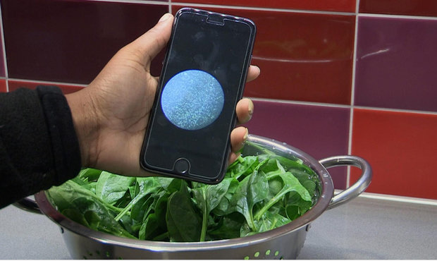 تراشه شناسایی باکتری های غذا ساخته شد