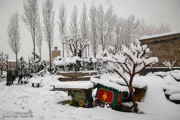 عکس تهران برف و بوران بارش برف در تهران اخبار تهران