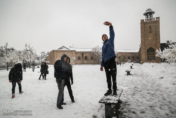 عکس تهران برف و بوران بارش برف در تهران اخبار تهران