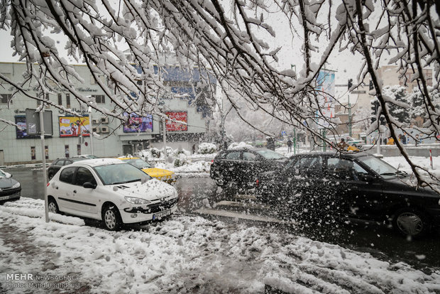 عکس تهران برف و بوران بارش برف در تهران اخبار تهران