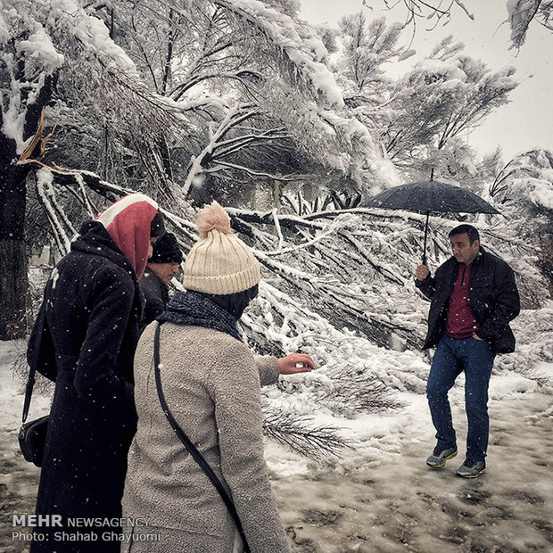 تہران میں برف باری سے عوام لطف اٹھاتے ہوئے