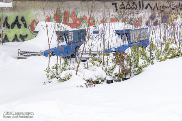الثلوج بمدينة "شهريار" غربي محافظة طهران