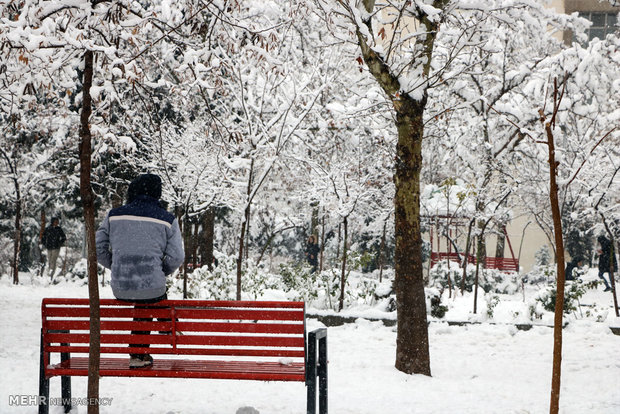 Kar yağışı ardından Tahran'dan manzaralar